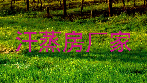 汗蒸房厂家