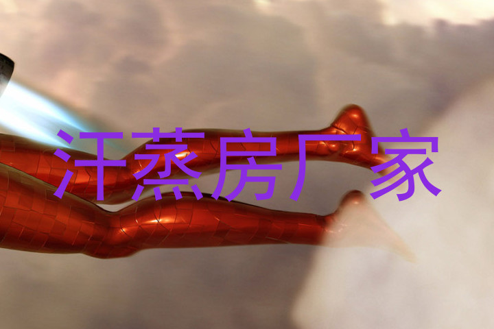汗蒸房厂家