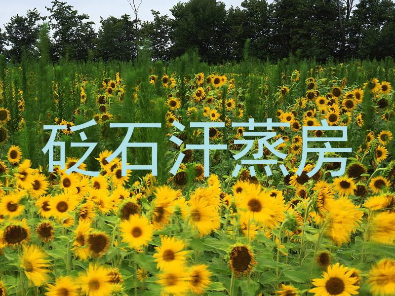 砭石汗蒸房