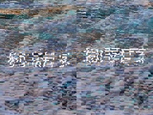 移动汗蒸房厂家