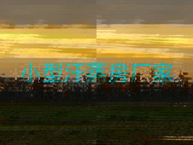 小型汗蒸房厂家