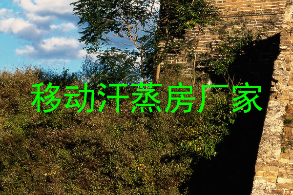 移动汗蒸房厂家