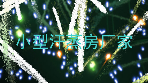 小型汗蒸房厂家