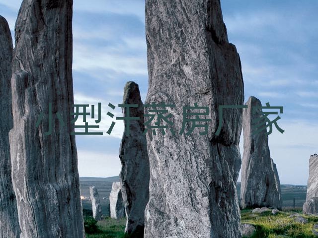 小型汗蒸房厂家
