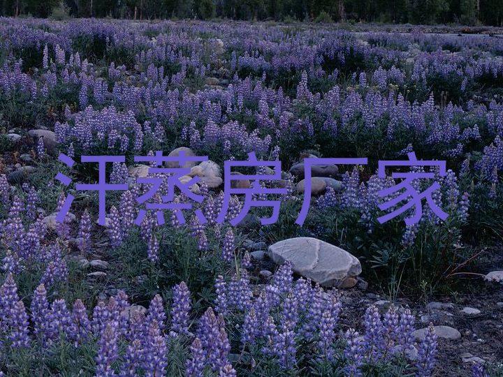 汗蒸房厂家
