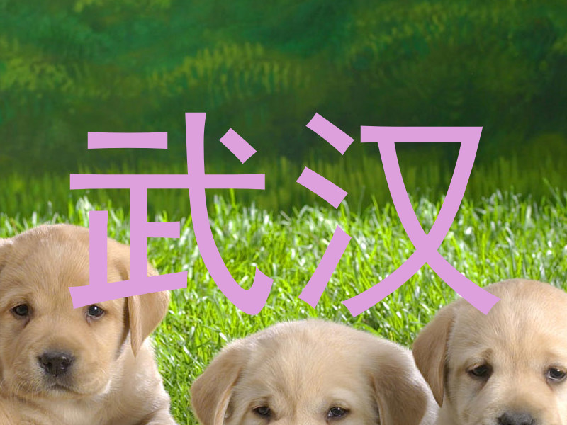 武汉