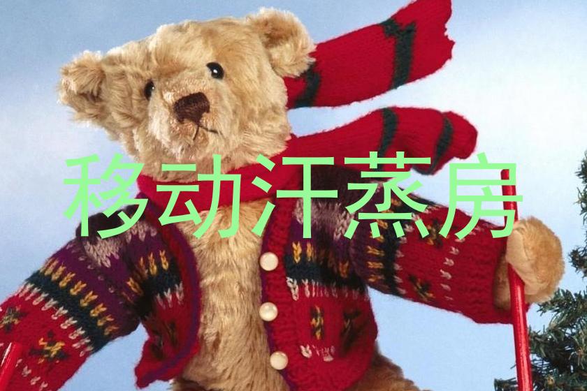 移动汗蒸房