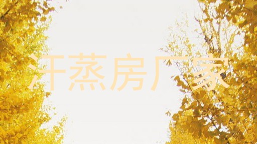 汗蒸房厂家