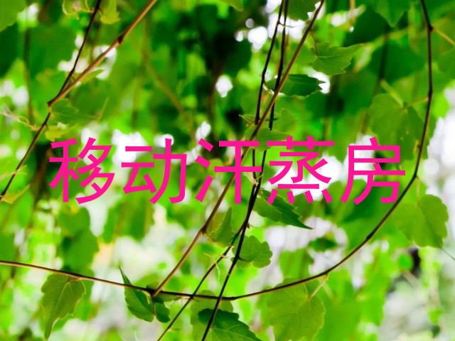 移动汗蒸房