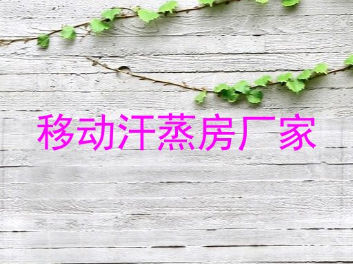 移动汗蒸房厂家