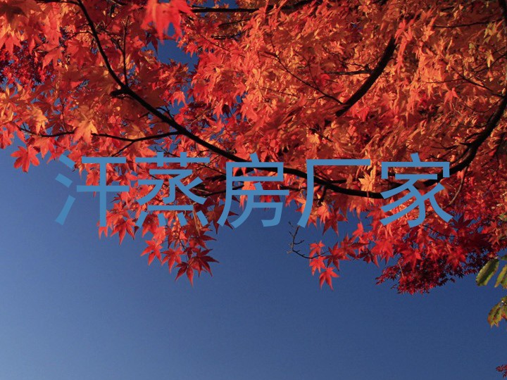 汗蒸房厂家