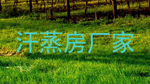 汗蒸房厂家