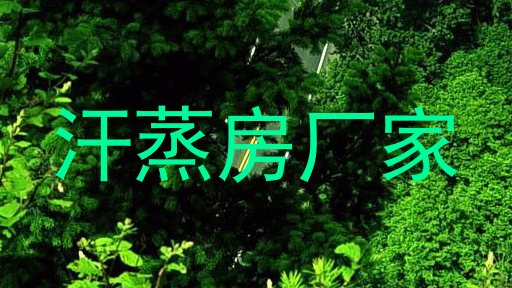 汗蒸房厂家