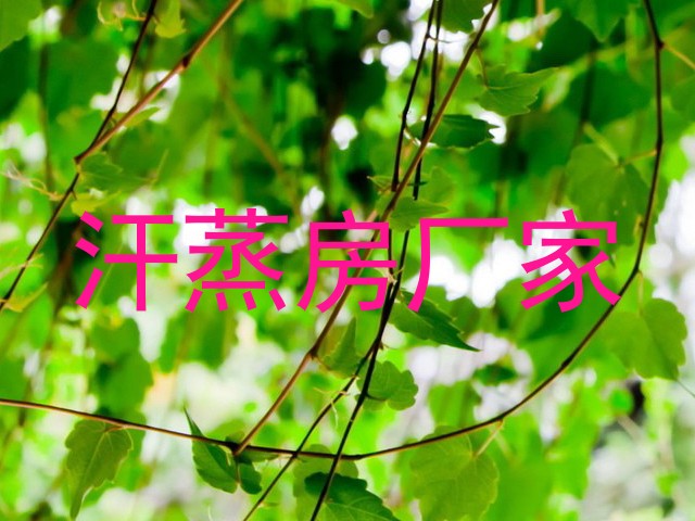 汗蒸房厂家
