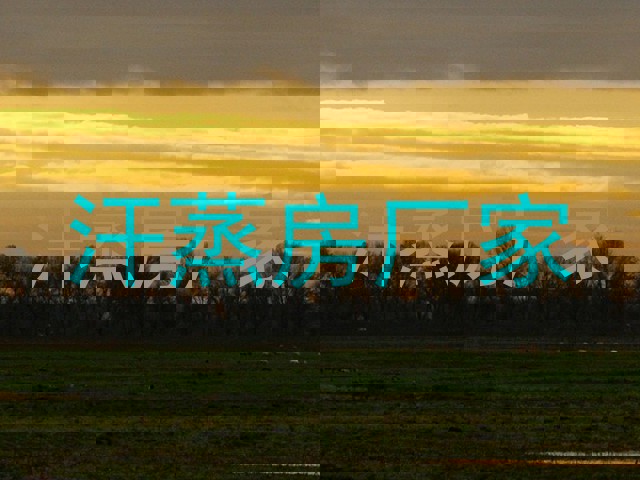 汗蒸房厂家
