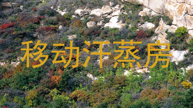 移动汗蒸房