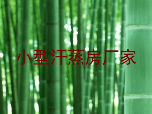 小型汗蒸房厂家