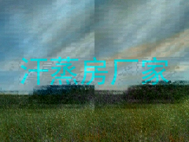汗蒸房厂家
