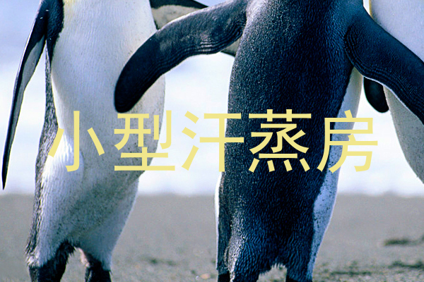 小型汗蒸房