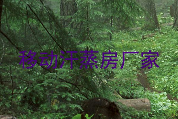 移动汗蒸房厂家
