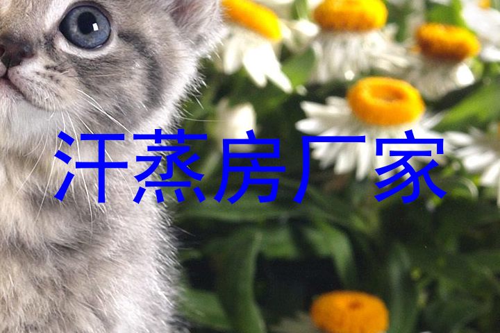 汗蒸房厂家