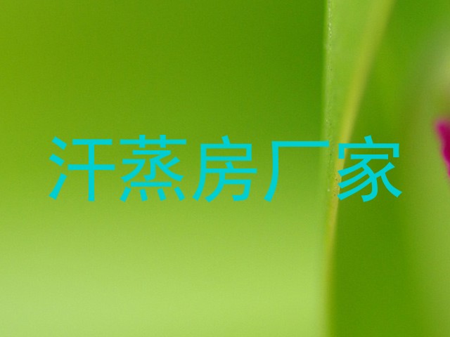 汗蒸房厂家