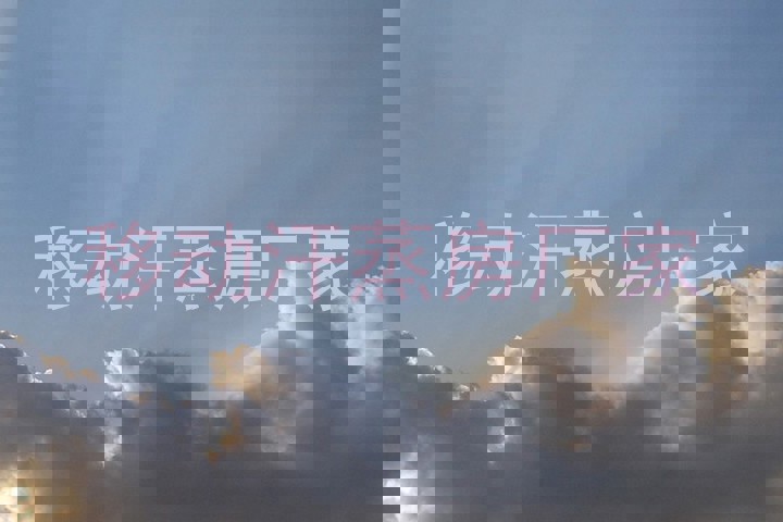 移动汗蒸房厂家