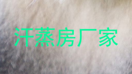 汗蒸房厂家