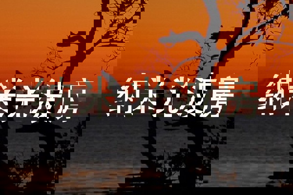 纳米光波房