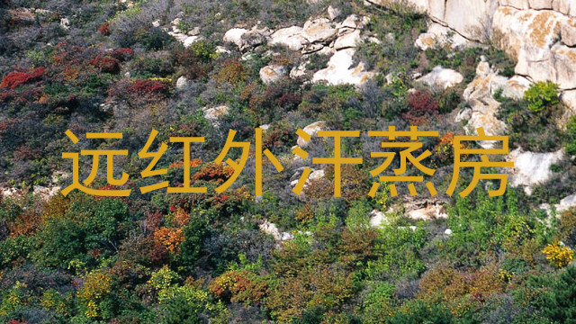 远红外汗蒸房