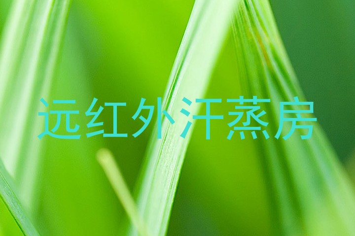 远红外汗蒸房