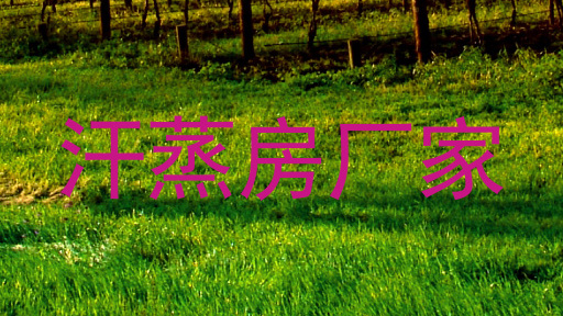 汗蒸房厂家