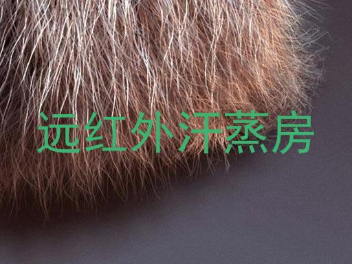 远红外汗蒸房