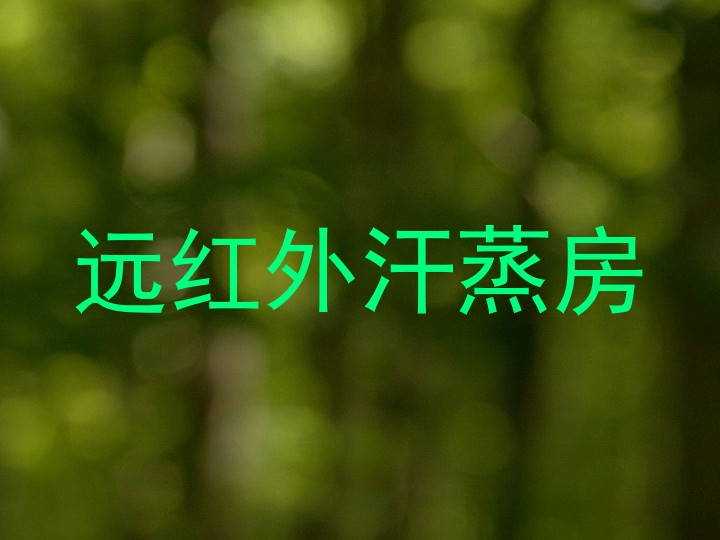 远红外汗蒸房