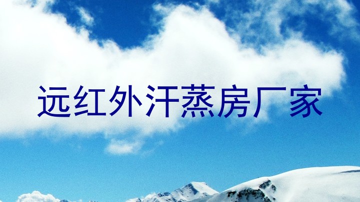 远红外汗蒸房厂家