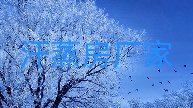汗蒸房厂家