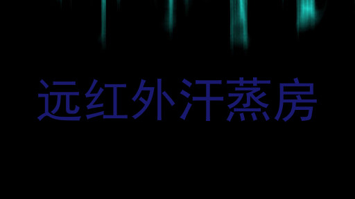 远红外汗蒸房