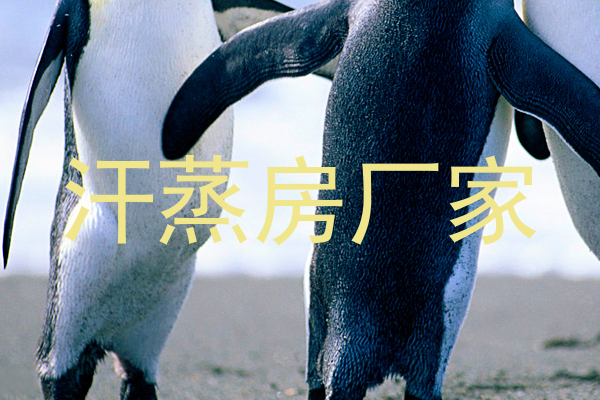汗蒸房厂家