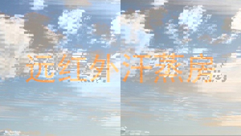 远红外汗蒸房