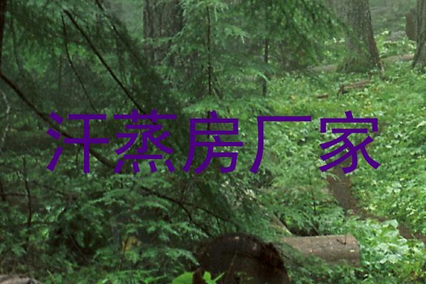 汗蒸房厂家
