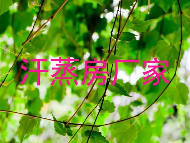 汗蒸房厂家