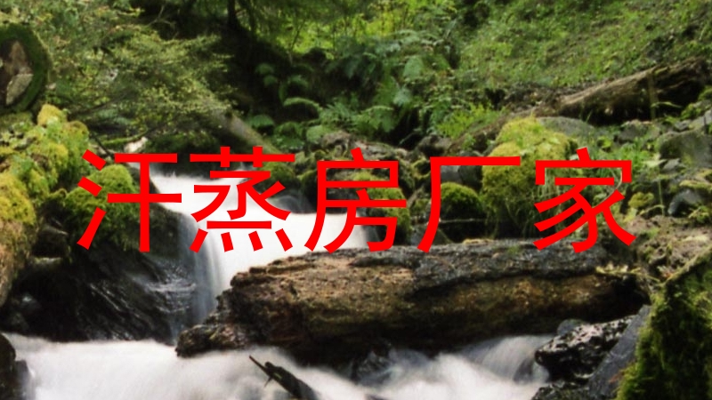 汗蒸房厂家