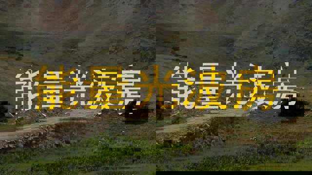 能量光波房