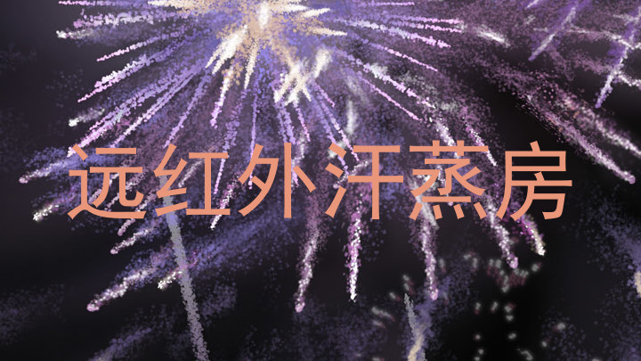 远红外汗蒸房