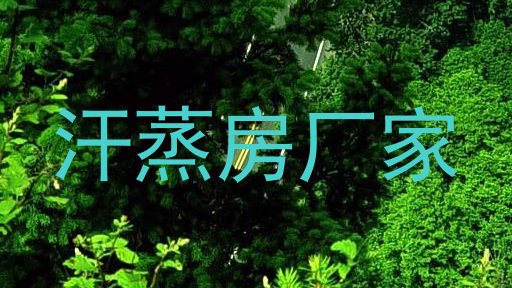 汗蒸房厂家
