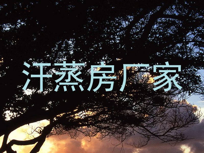 汗蒸房厂家