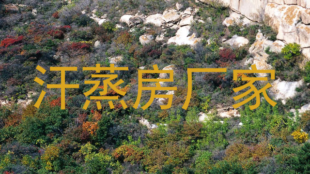 汗蒸房厂家
