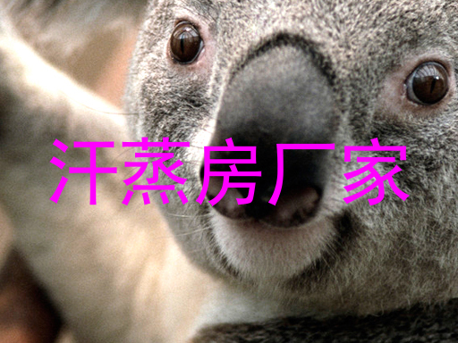 汗蒸房厂家