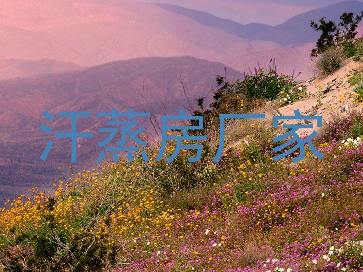 汗蒸房厂家