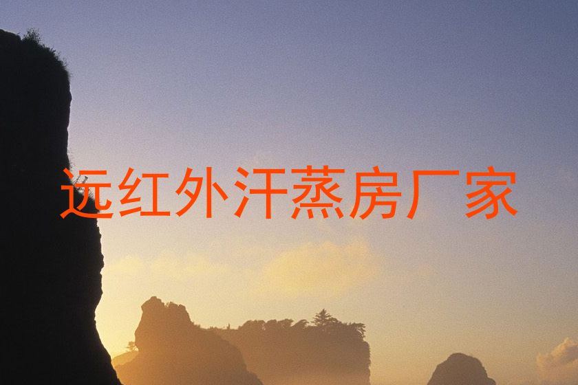 远红外汗蒸房厂家